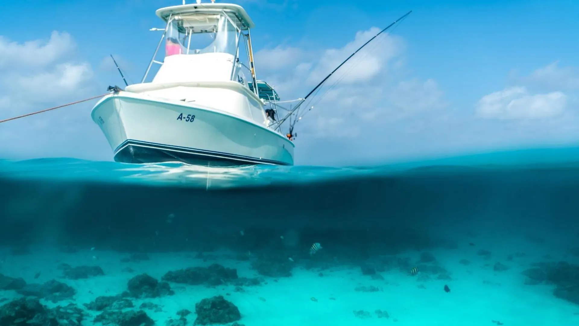 Arubas Life 103 Daire Noord Aruba