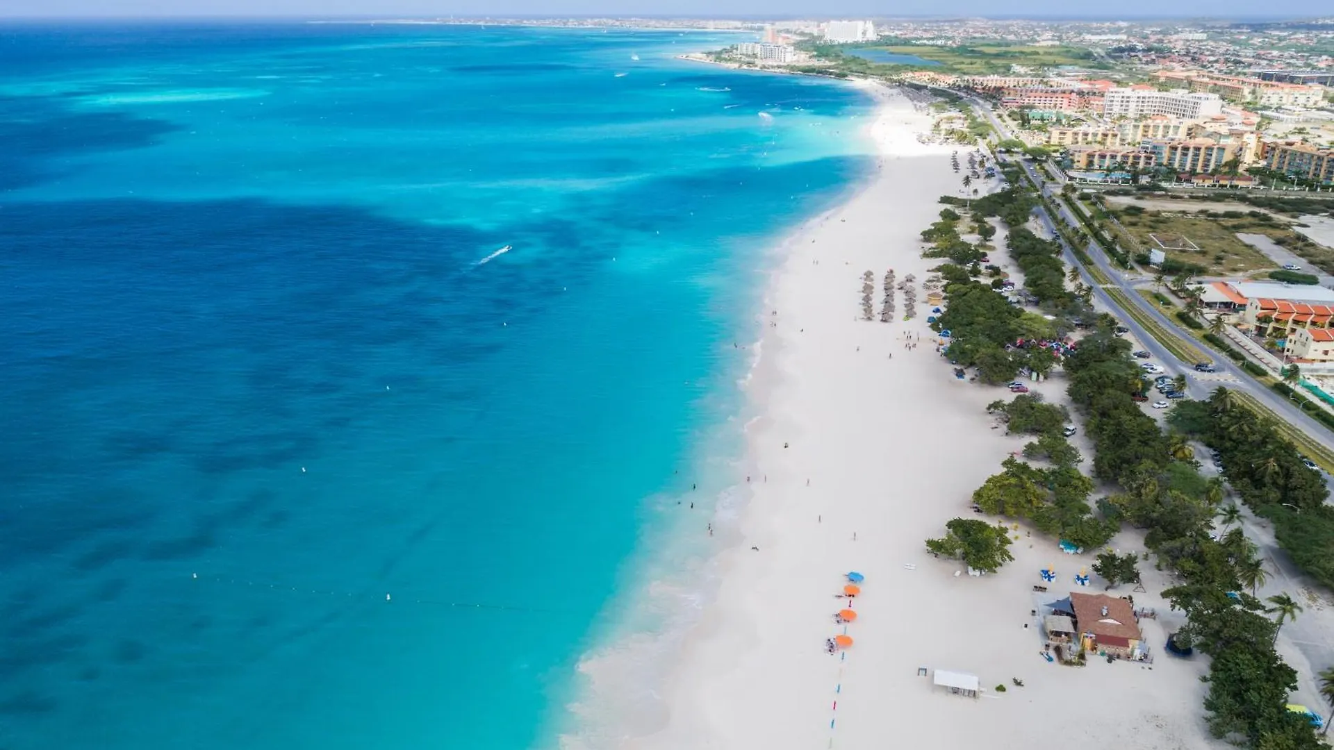 Arubas Life 103 Daire Noord Aruba